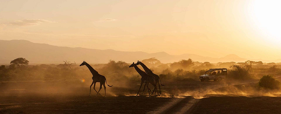 Zambia