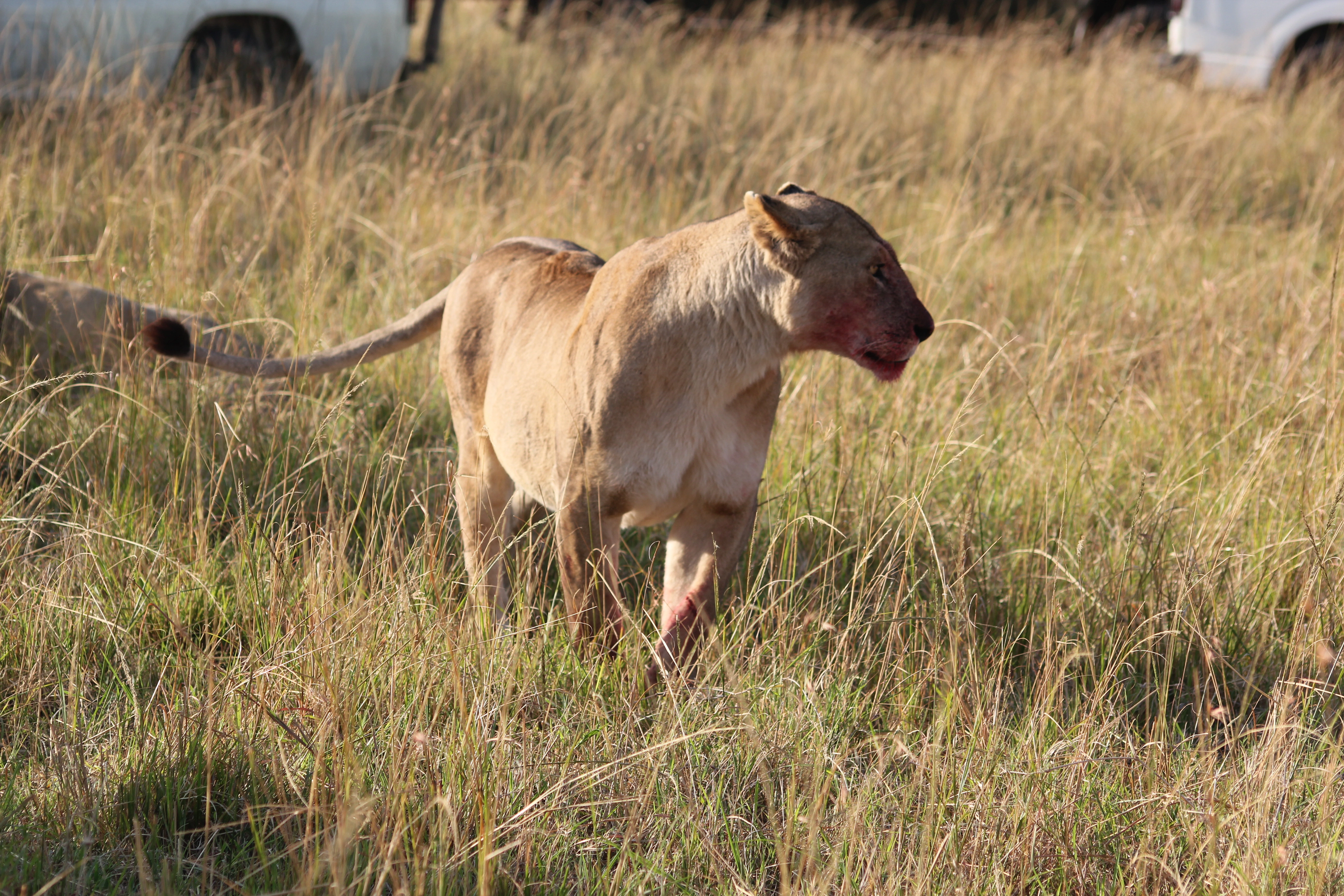 Day 1:Arusha to Arusha National Park