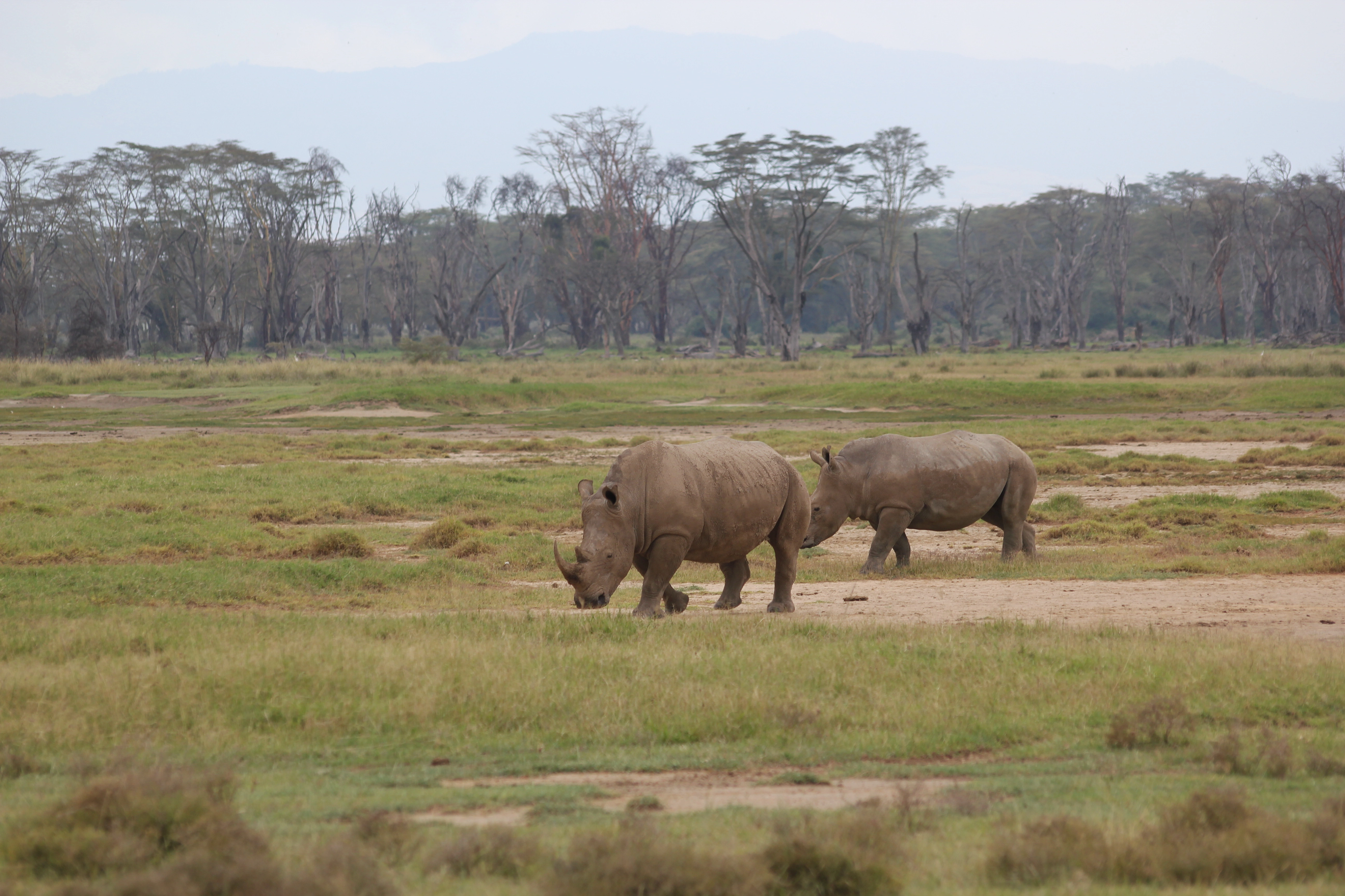 Day 1:Arusha