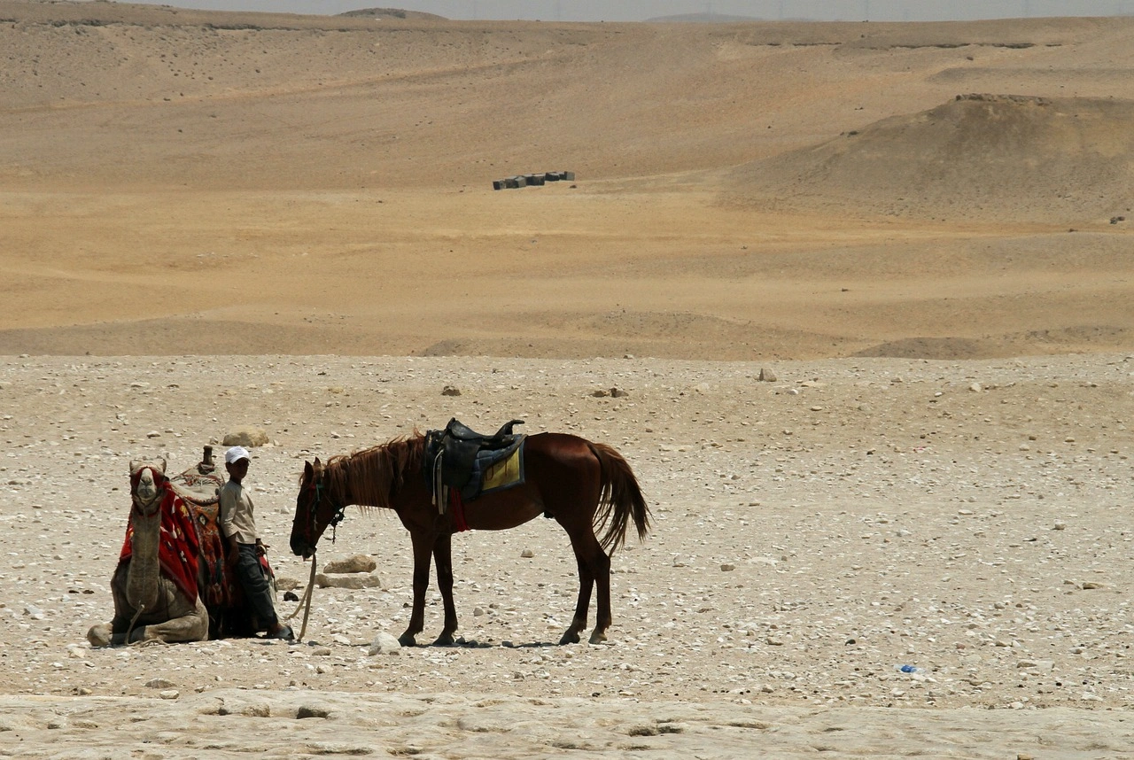 Day 2:Pyramids, Sphinx, Islamic Cairo, Coptic Cairo (B-L)