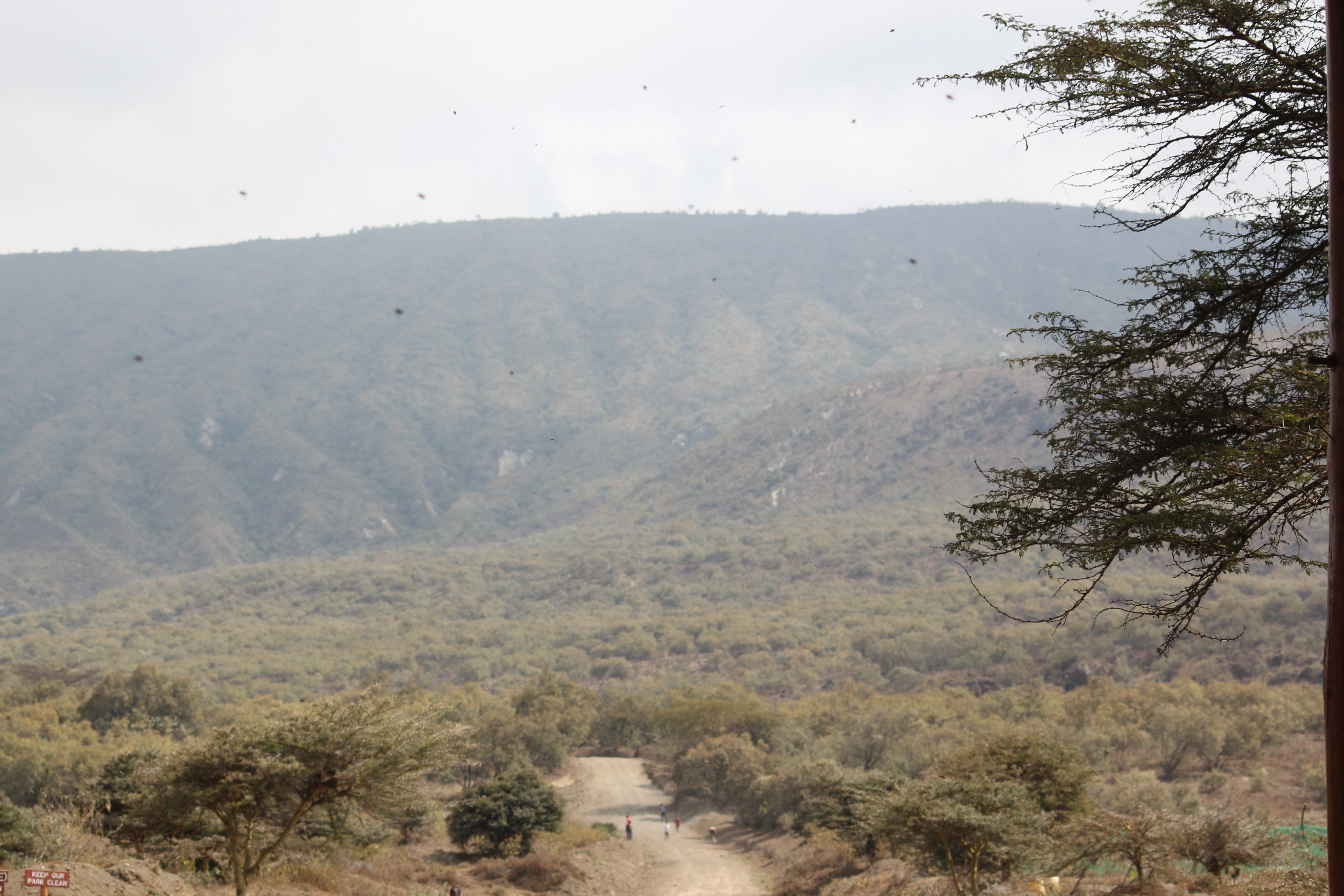 Day 1:Nairobi