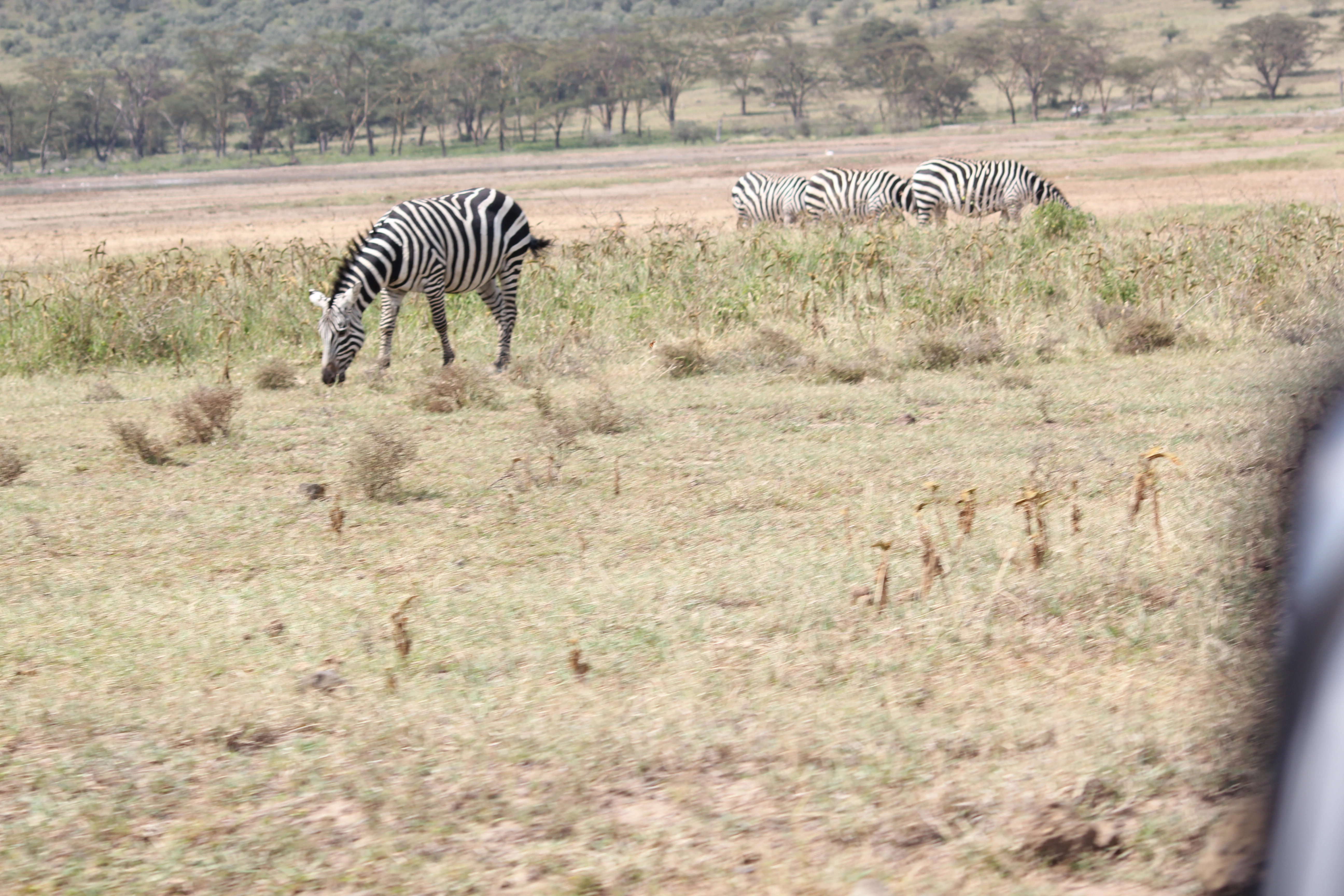 Day 1:Nairobi