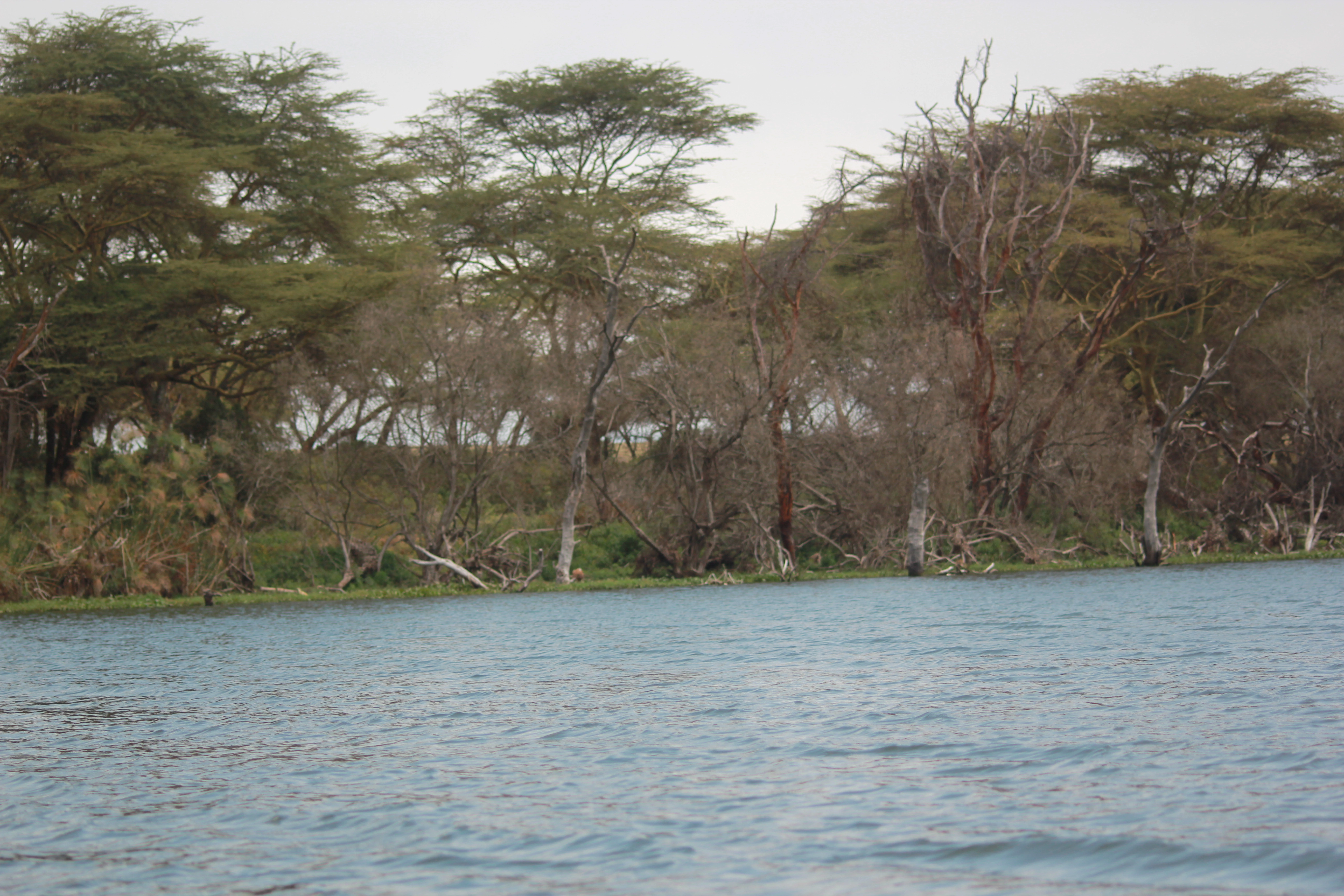 Day 1:Nairobi
