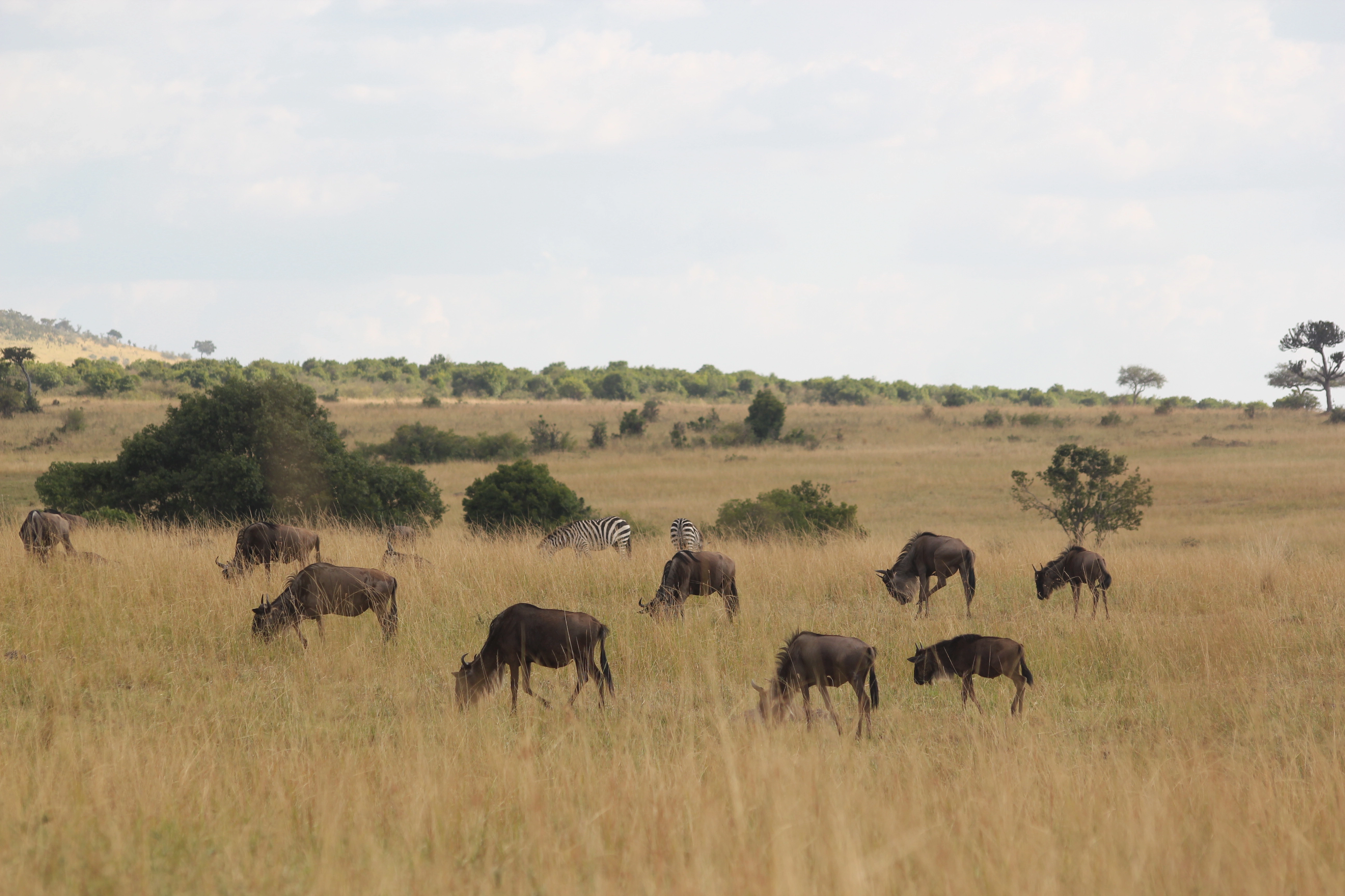 Day 1:Nairobi
