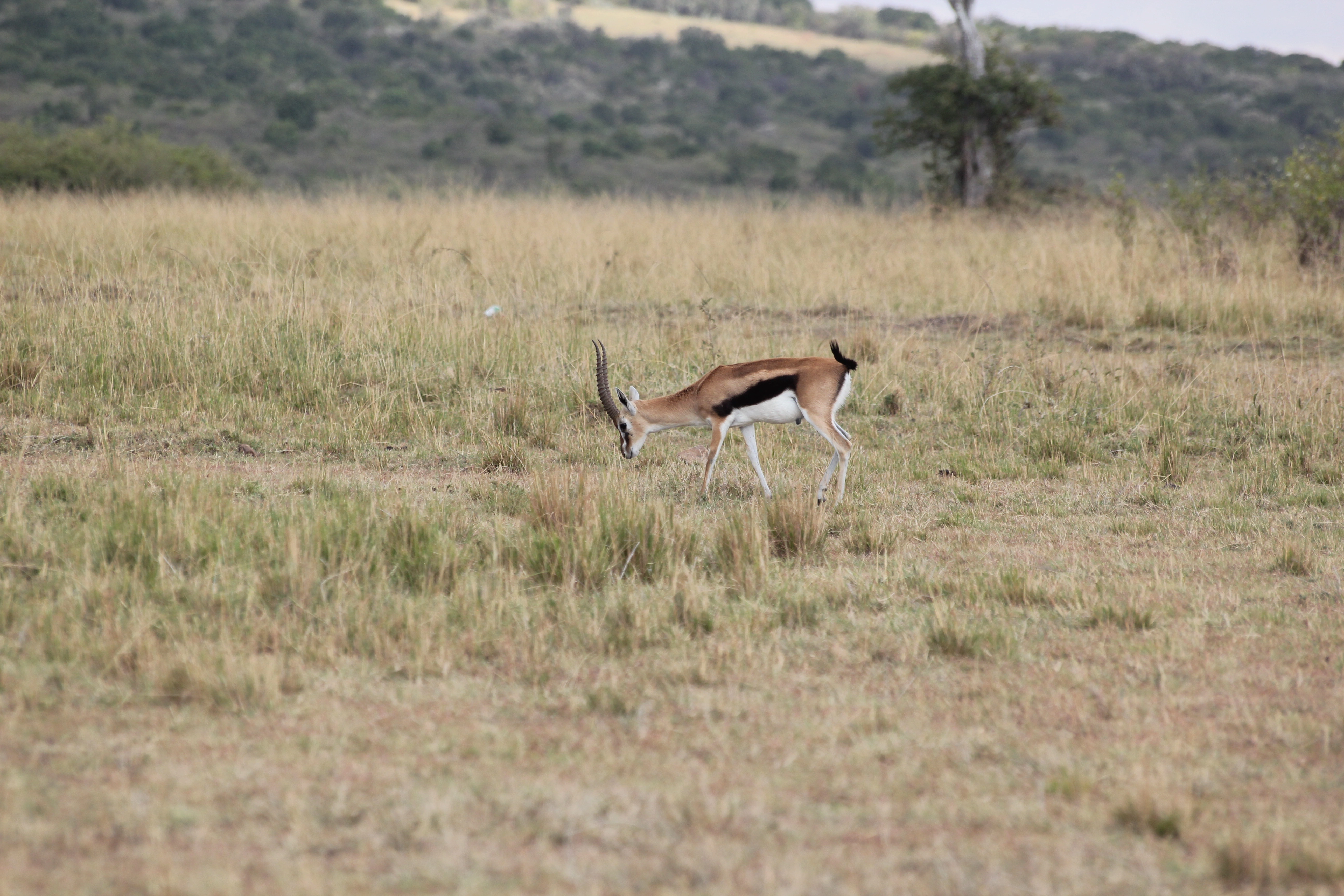 Day 1:Nairobi