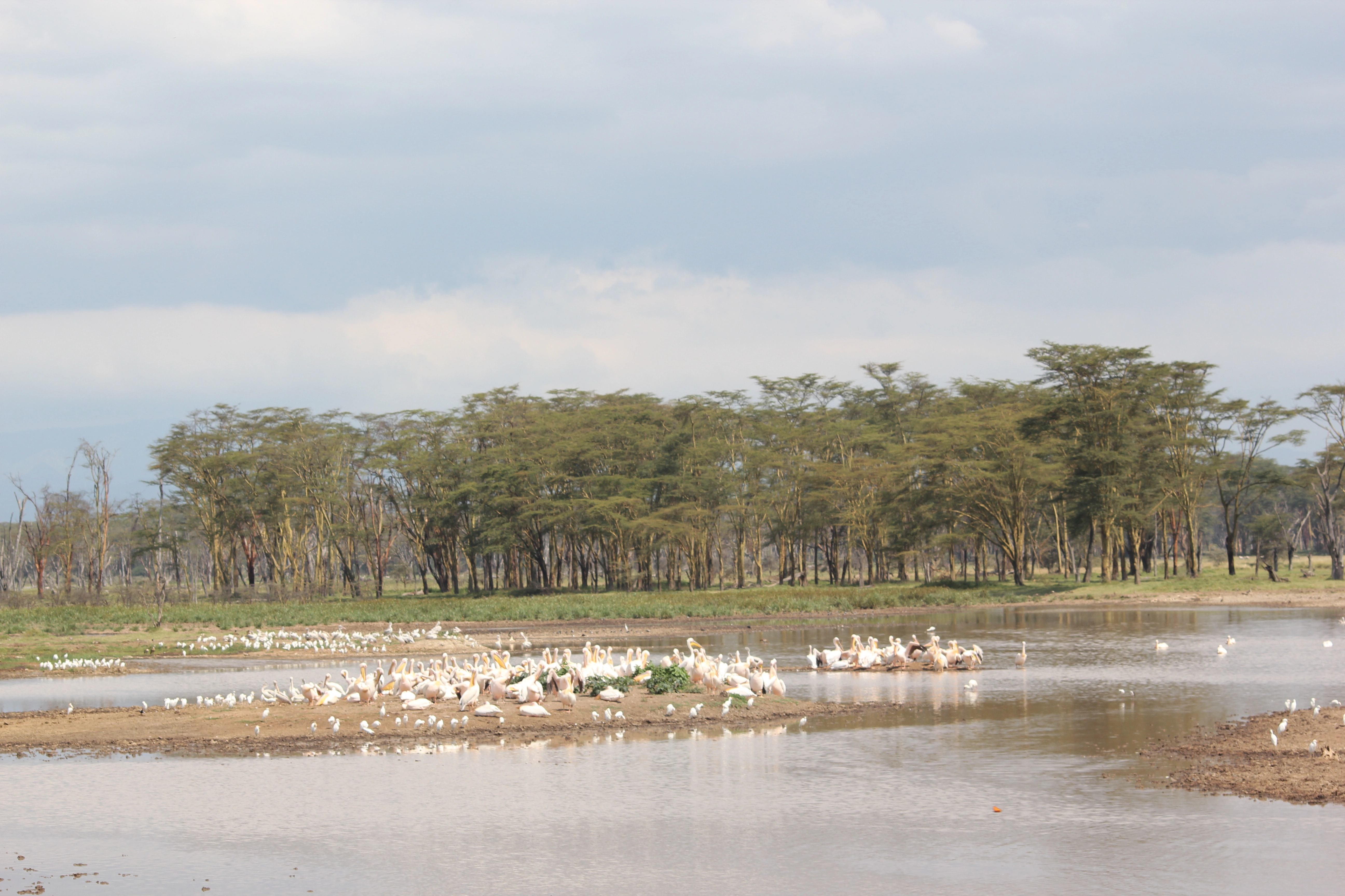 Day 1:Nairobi