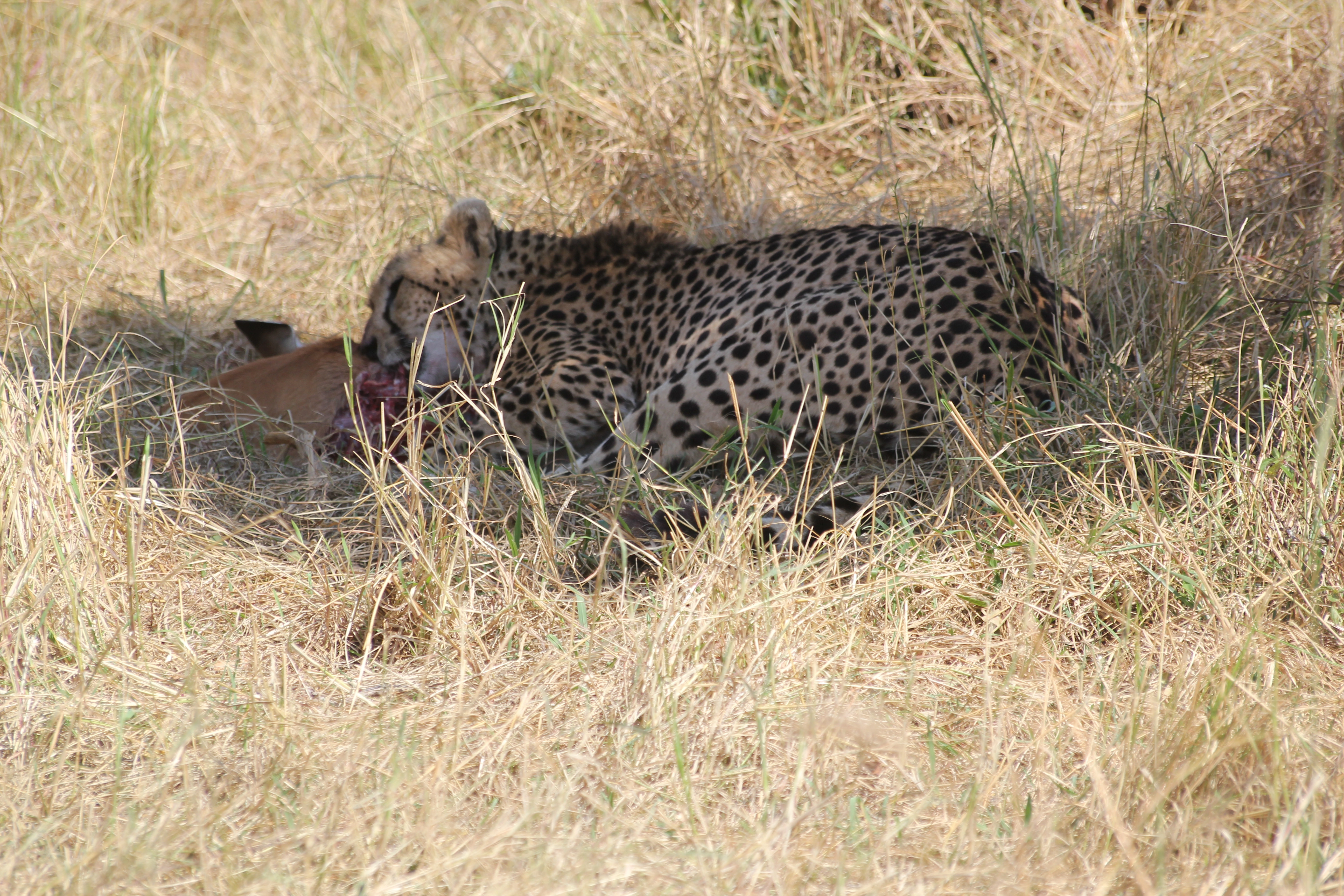 Day 1:Nairobi