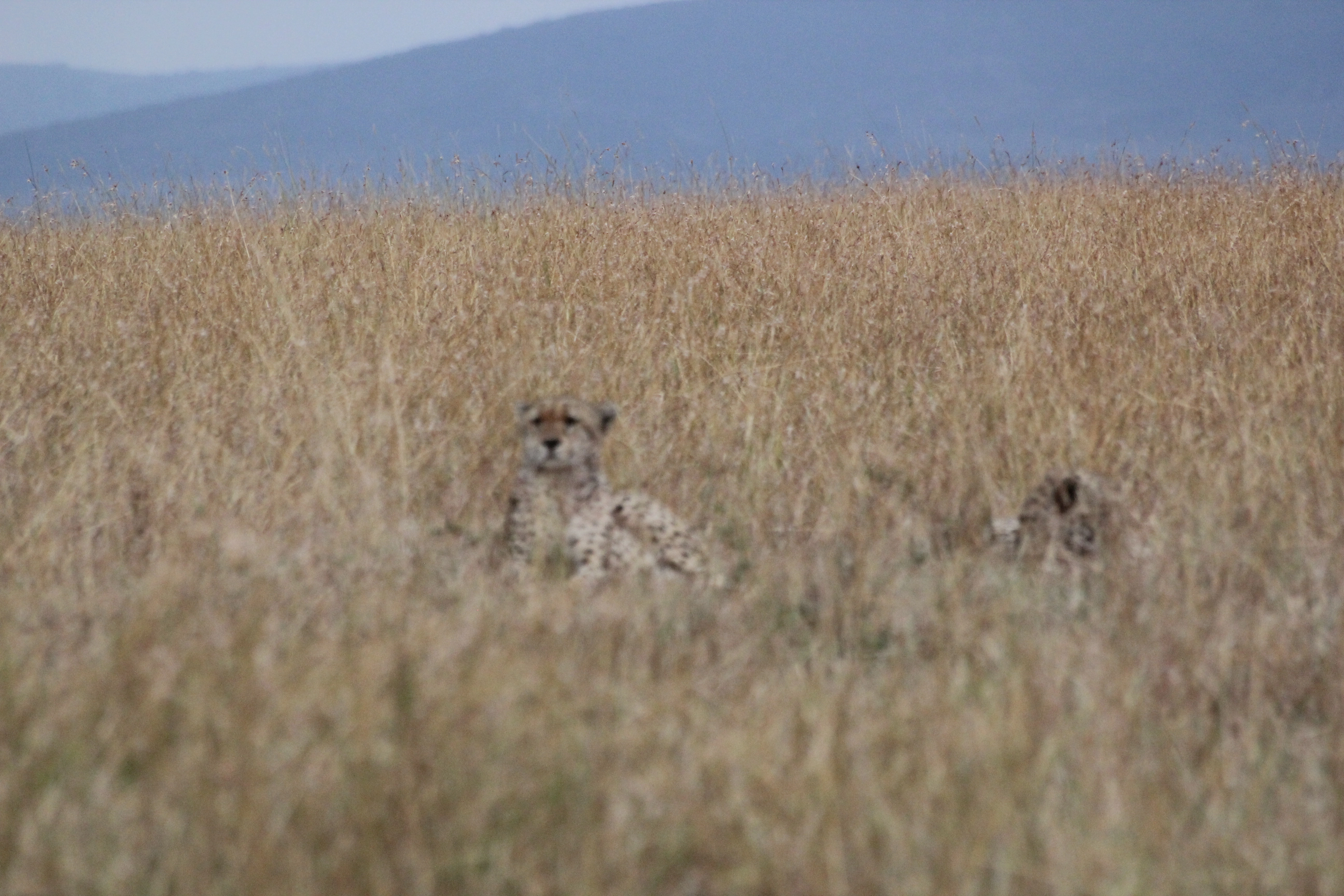 Day 1:Nairobi