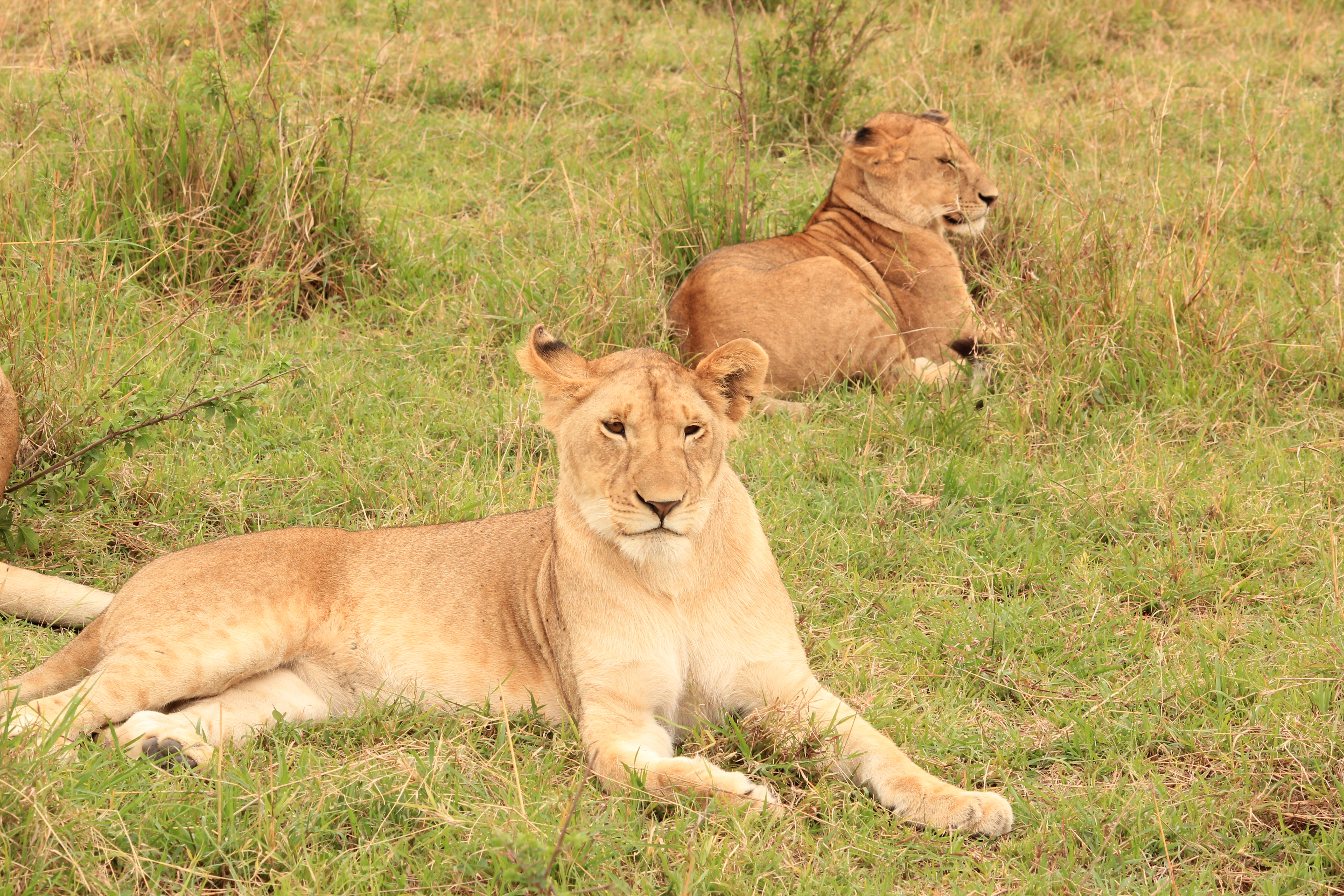 Day 1:Nairobi