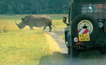 Day 1:To Murchison Falls NP with Rhino tracking: To the top of the falls.