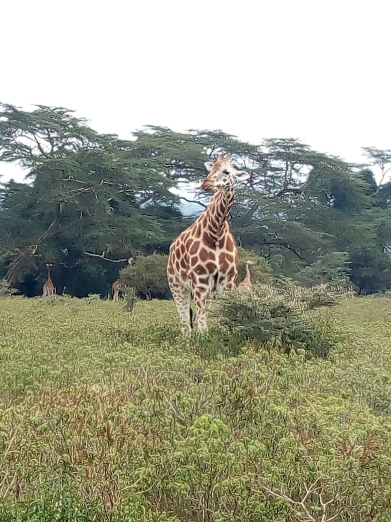8 Days Across Kenya Safari photo 3