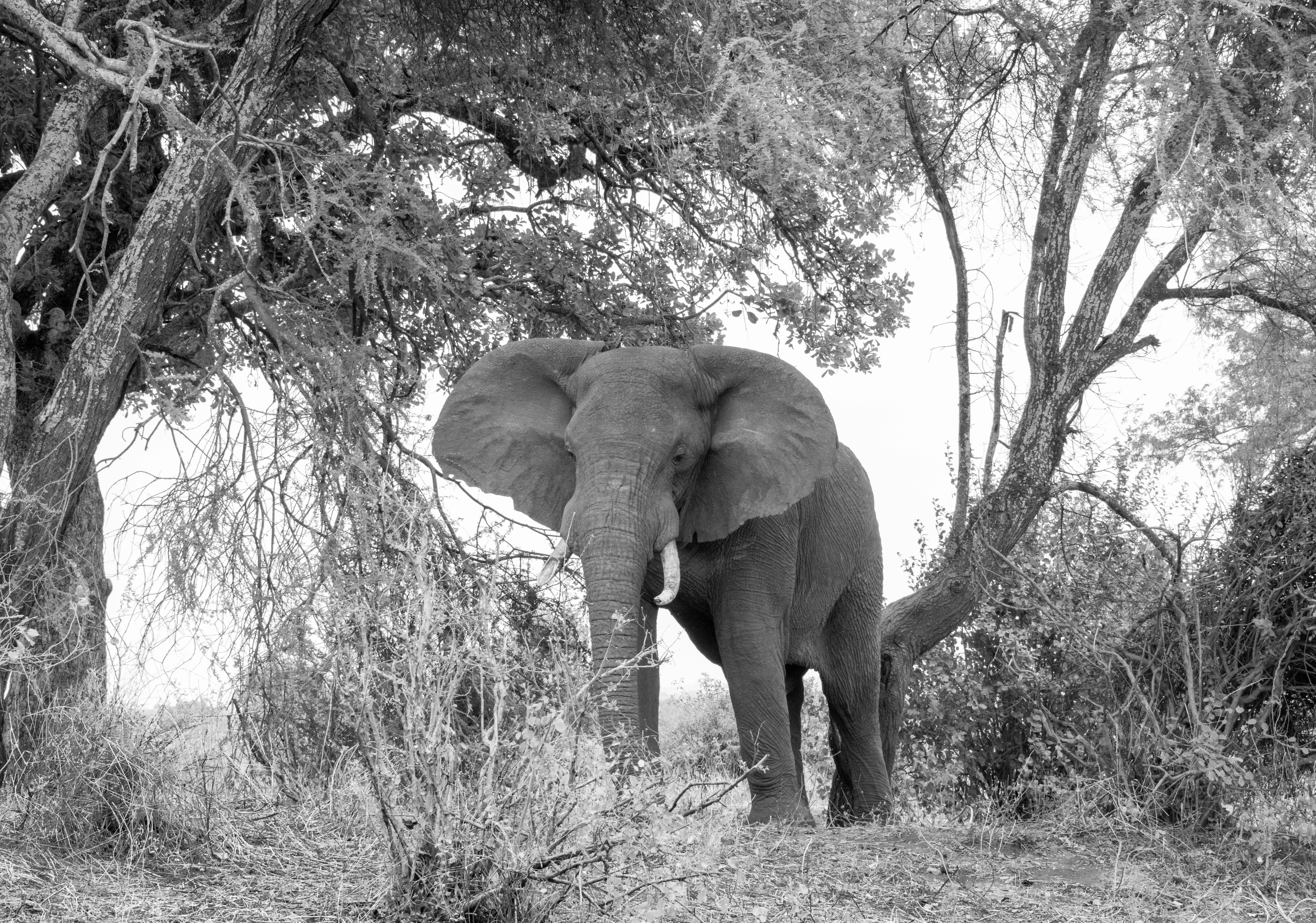 Safari Ol Lentille (8 Days) photo 4