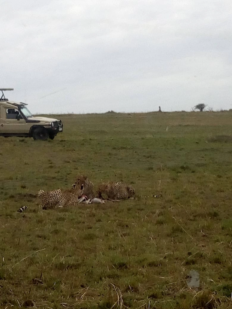 9 Days Kenya Family Holidays Safari photo 1