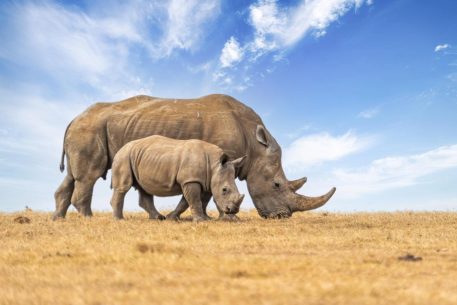 8 Days Kenya Great Lakes Safari photo 2
