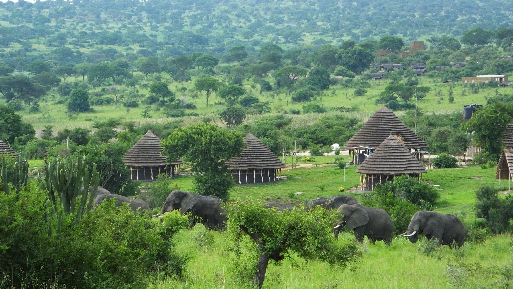 Heritage Safari Lodge
