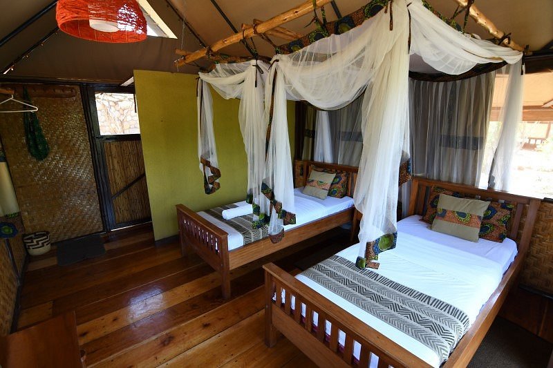 Queen Elizabeth Bush Lodge image 1