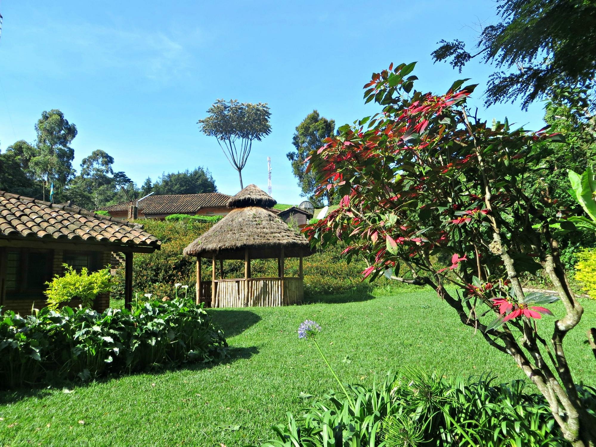 Gisakura Guest House