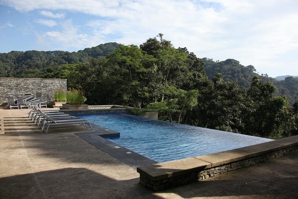 Nyungwe Forest Lodge image 1