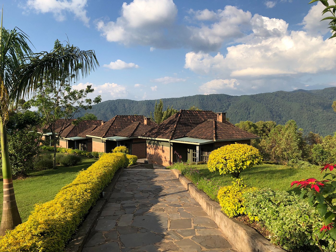 Nyungwe Top View Hill Hotel image 2