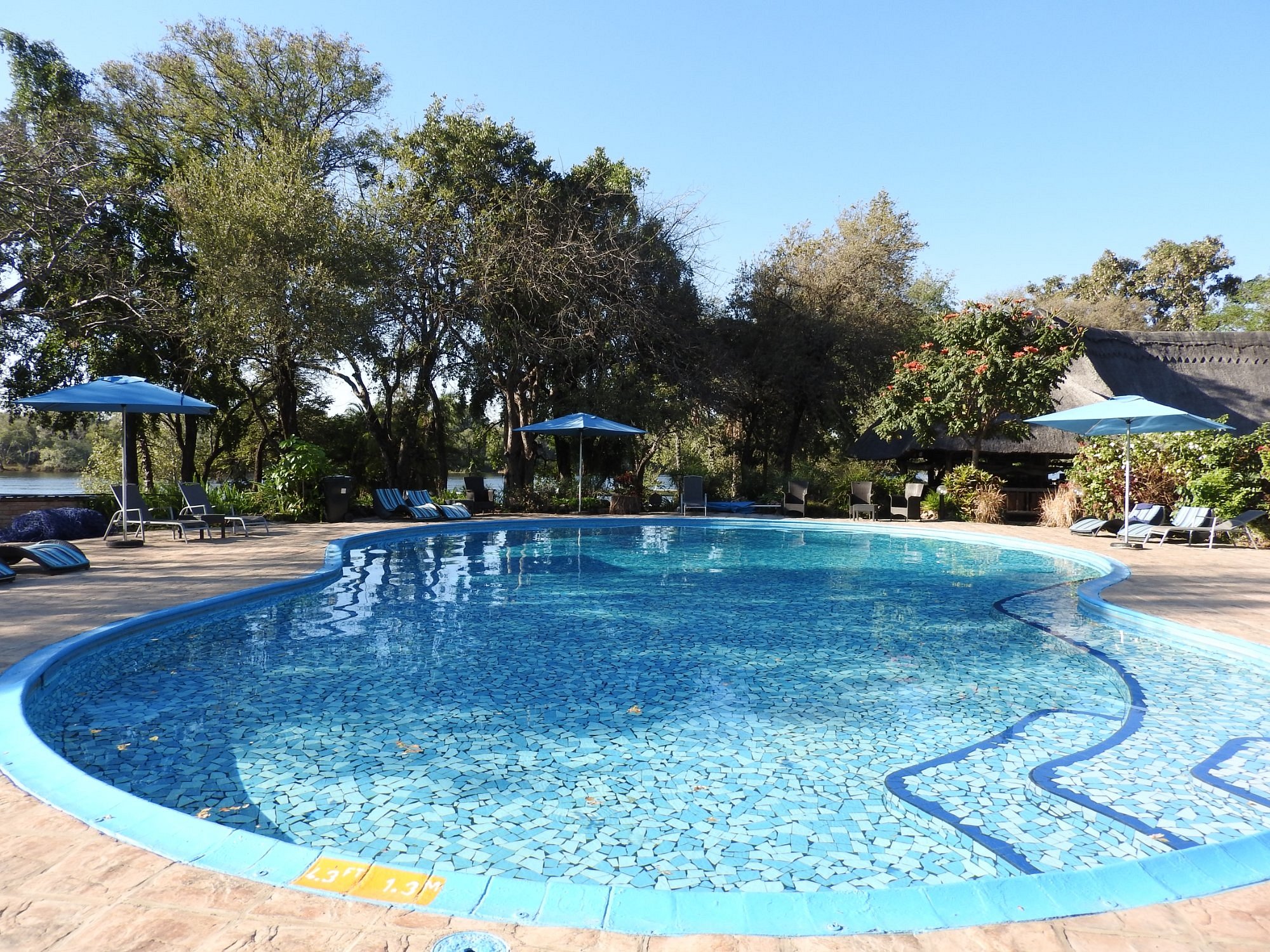 A'zambezi River Lodge image 2