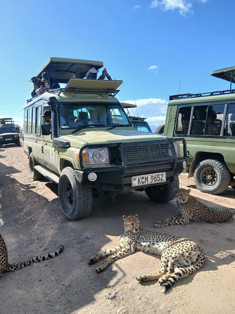 4x4 Safari Land Cruiser