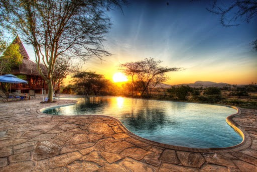 Mara Simba Lodge image 3