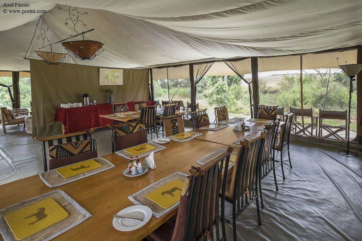 Porini Lion Camp image 2