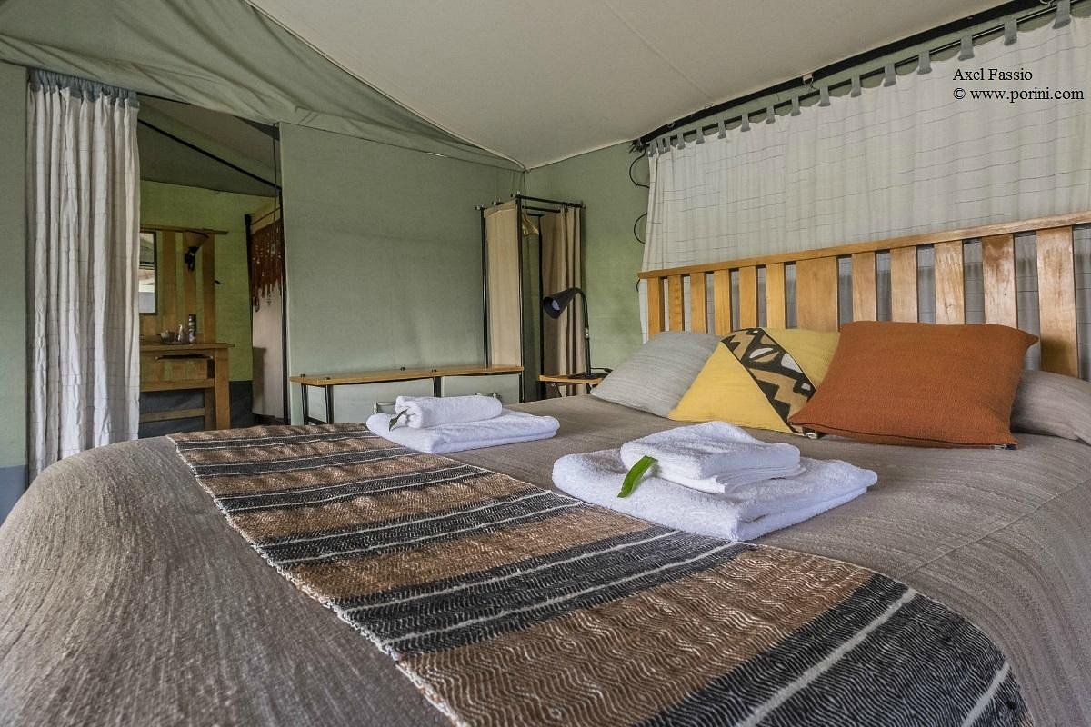 Porini Lion Camp image 1