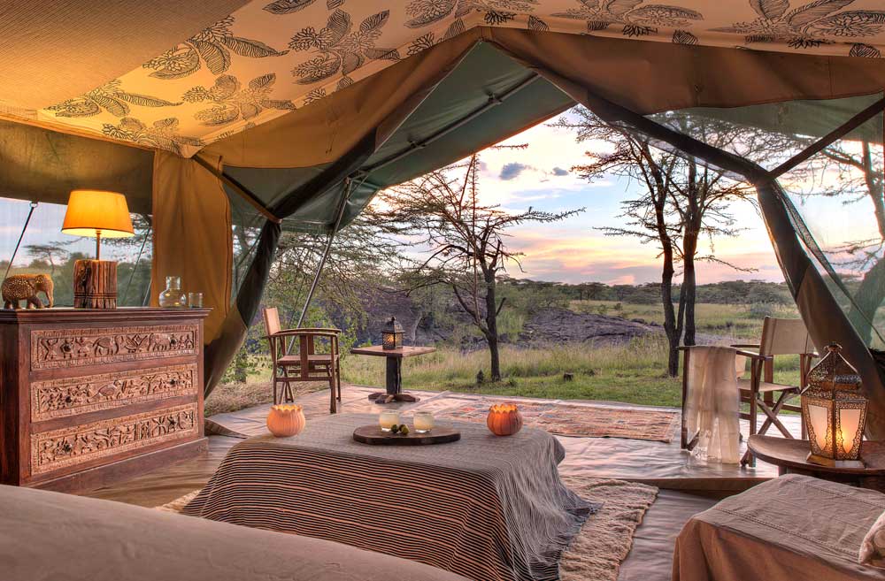 Richard's Forest Camp