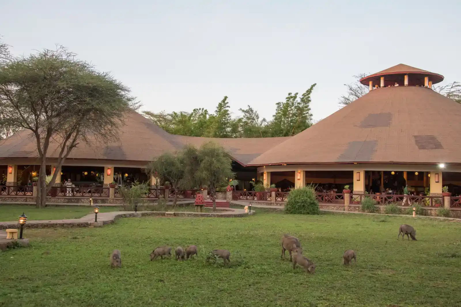 Kilima Safari Camp