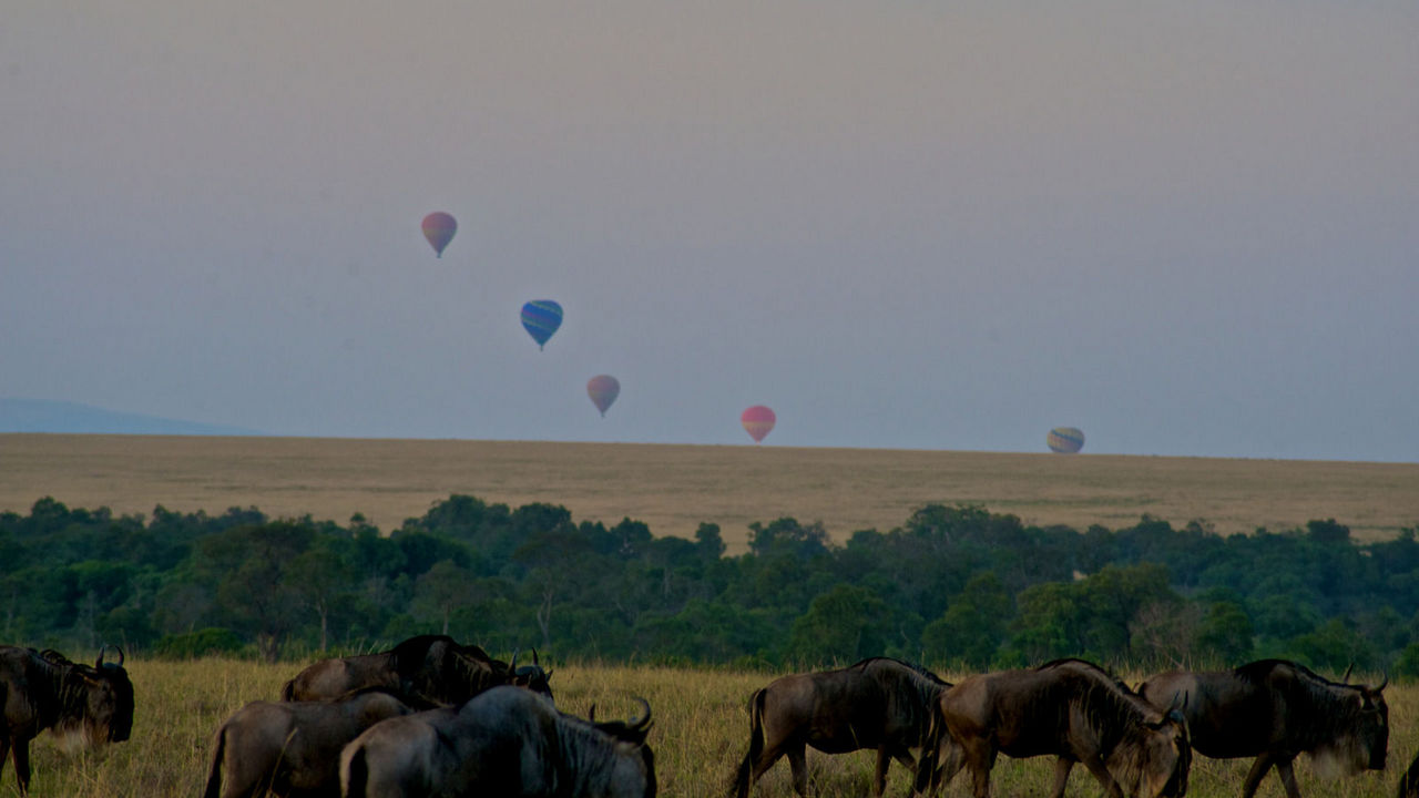 Safari Ilmoran (7 Days) photo 5