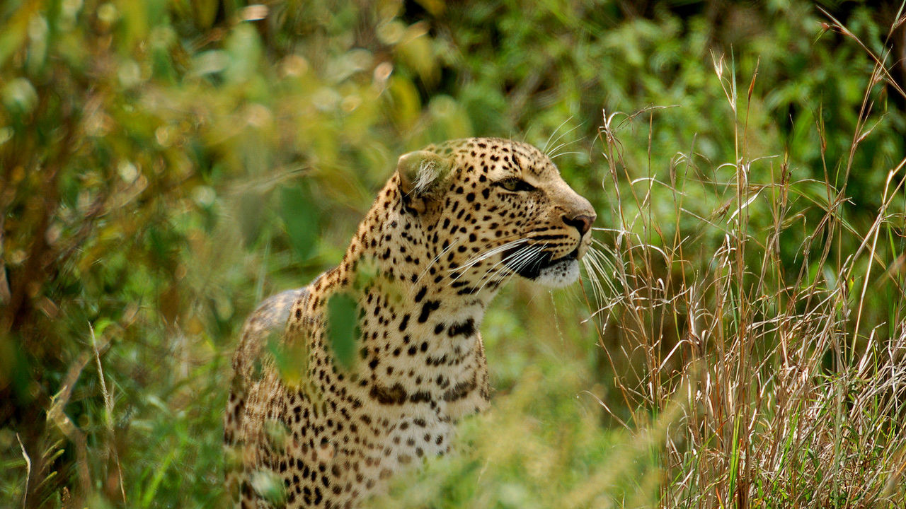 Safari Ilmoran (7 Days) photo 6