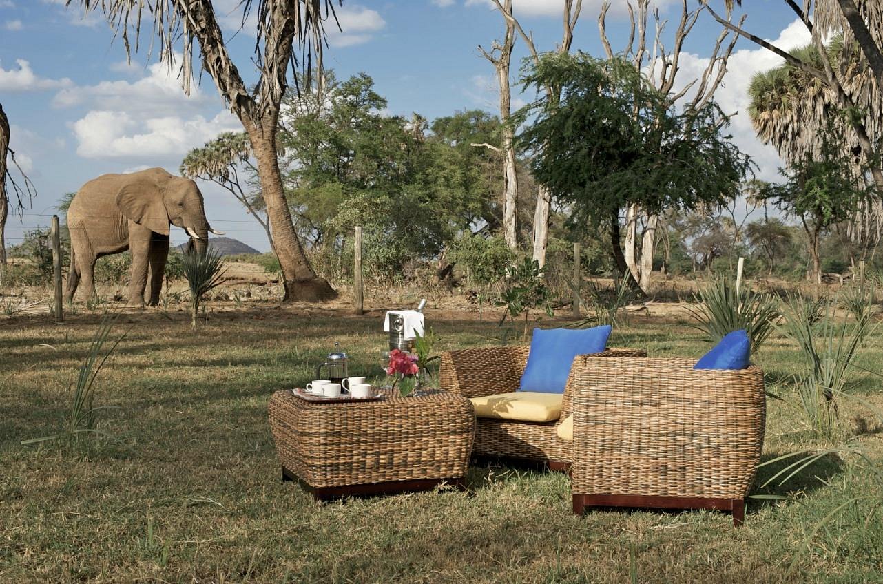 Ashnil Samburu Camp image 1