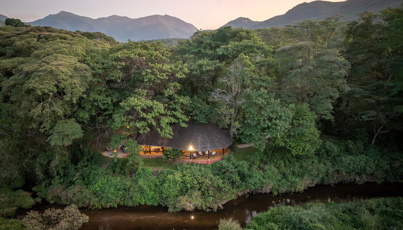 Kitich Forest Camp