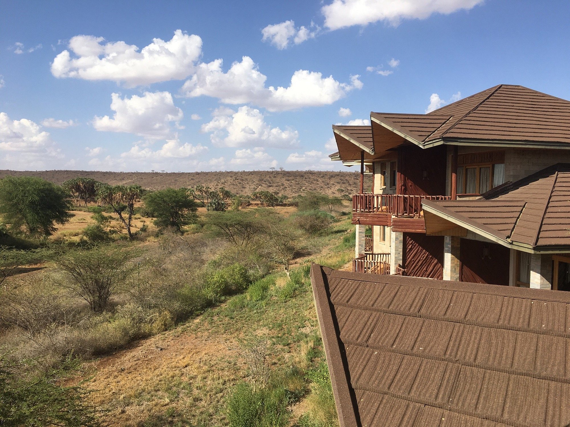 Samburu Simba Lodge