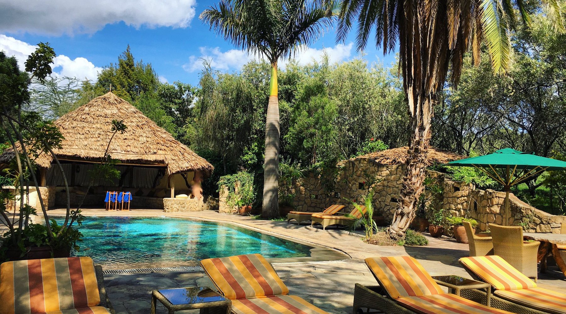 Chui Lodge image 1