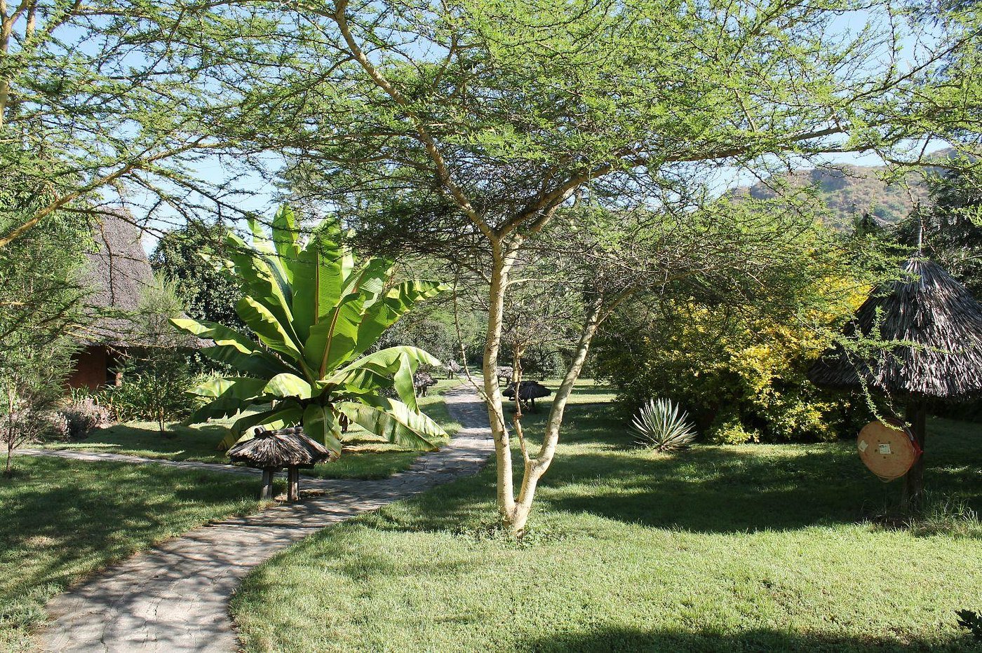 Flamingo Hill Tented Camp image 3