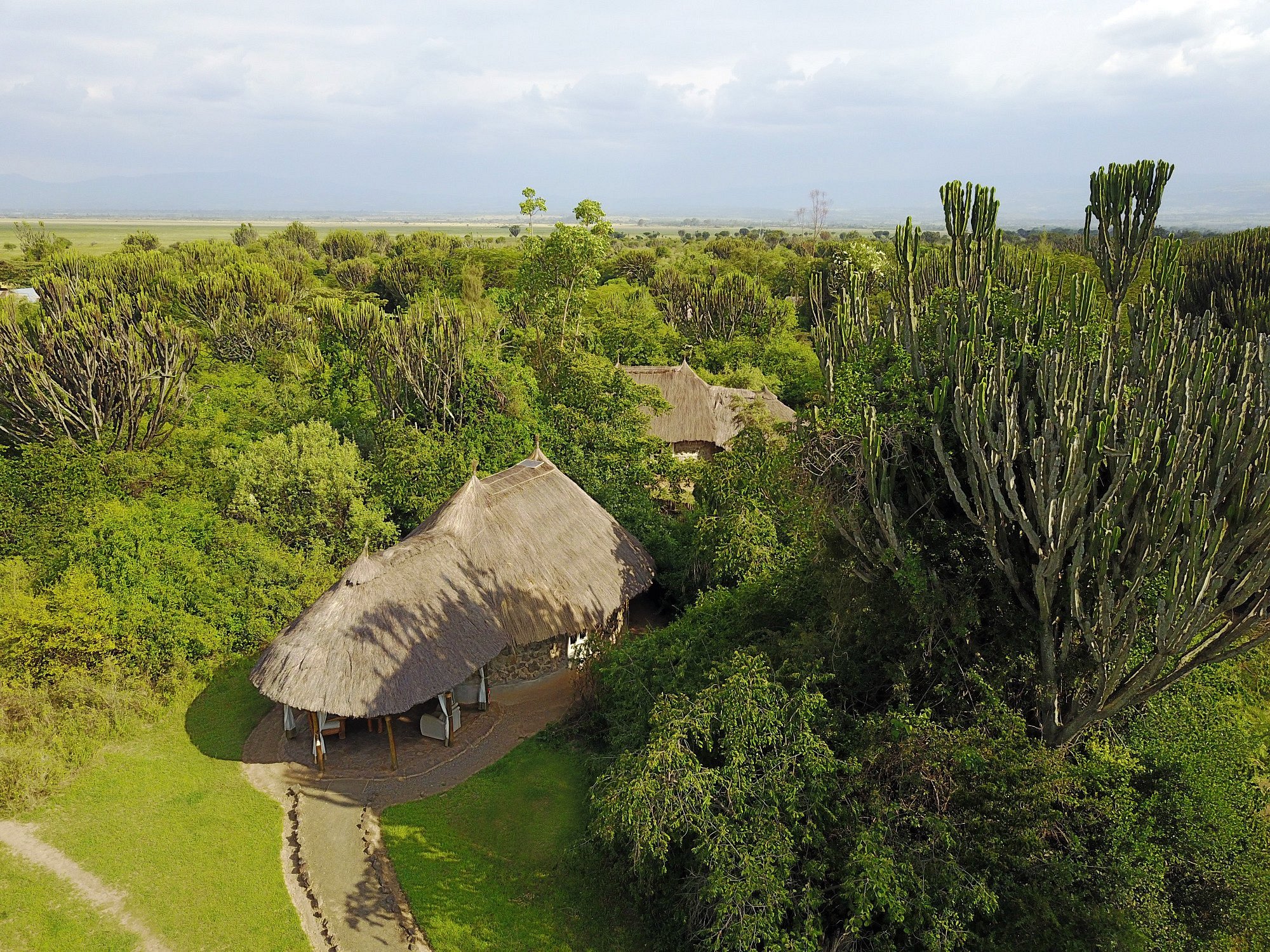 Mbweha Camp image 2