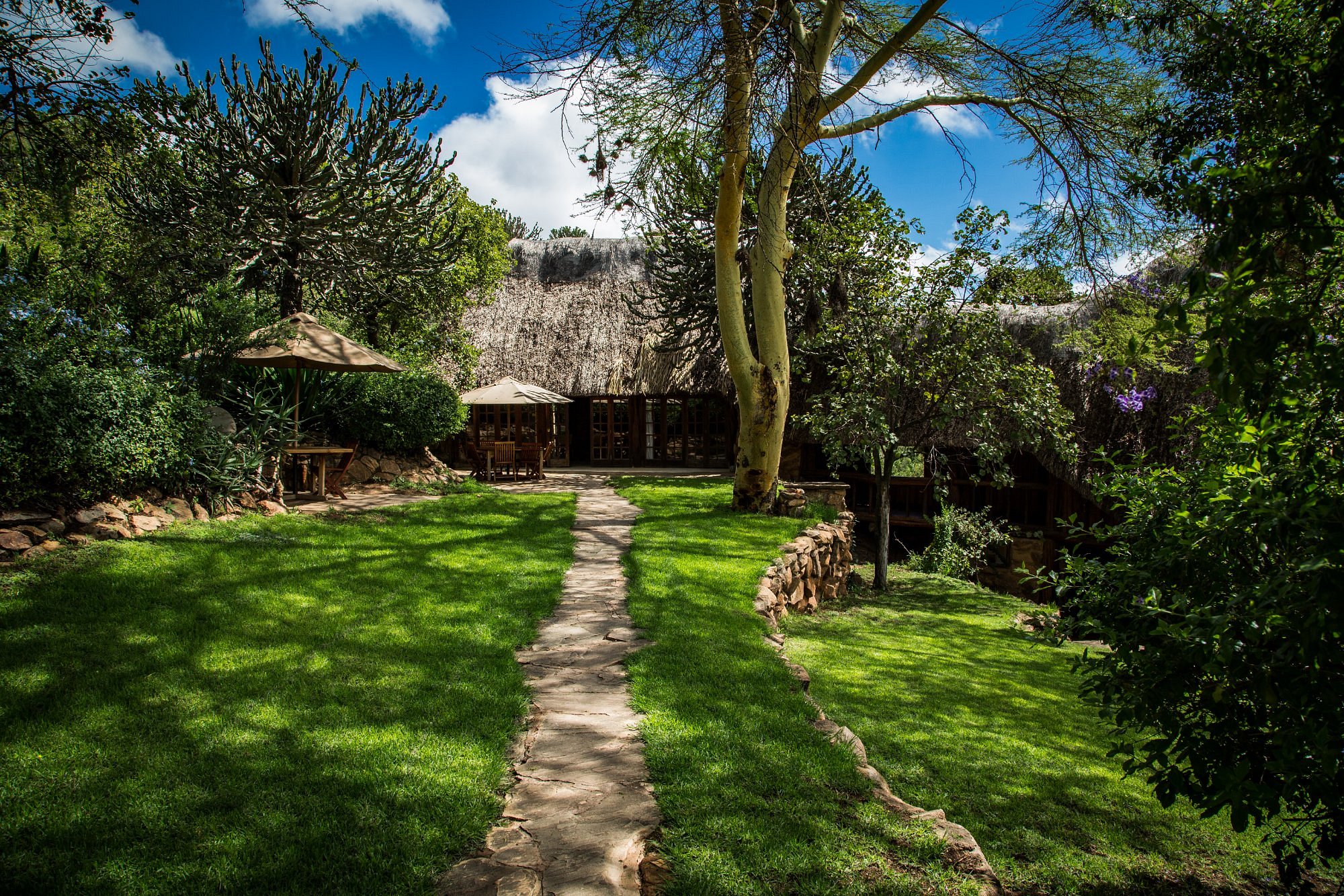 Borana Lodge image 2