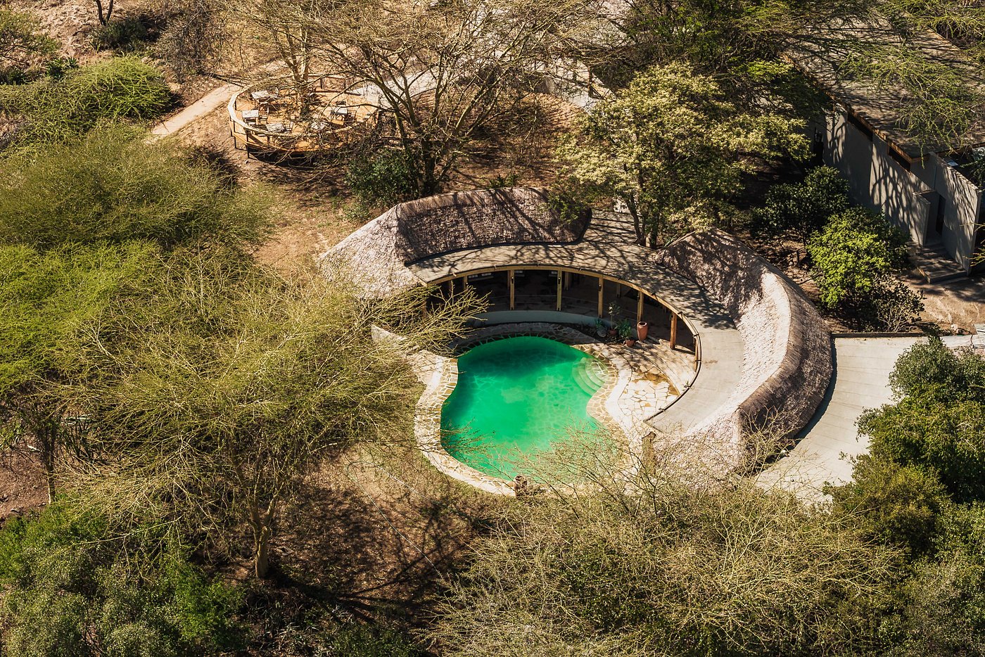 Lewa Safari Camp by Elewana image 2