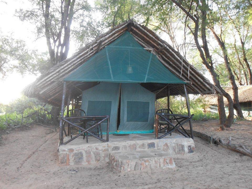 Patterson's Camp image 1