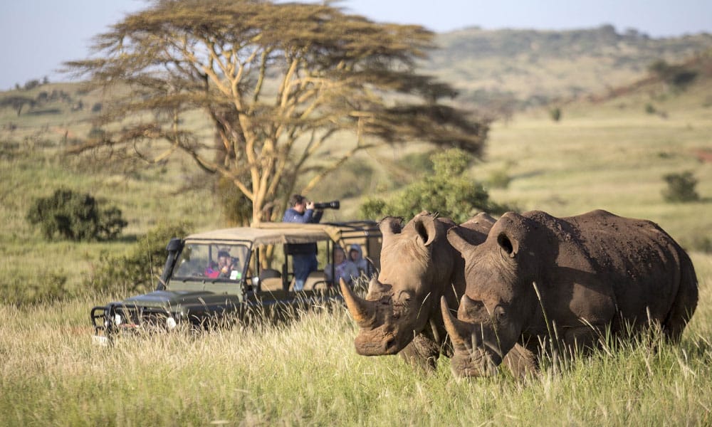 Best Time To Visit To Kenya